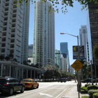 Activités Cours à Miami
