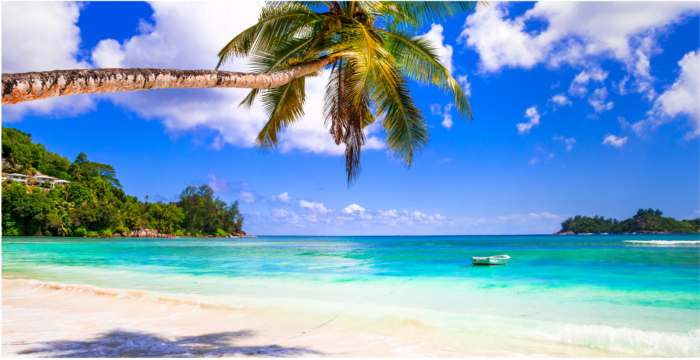 Stages à l'île Maurice